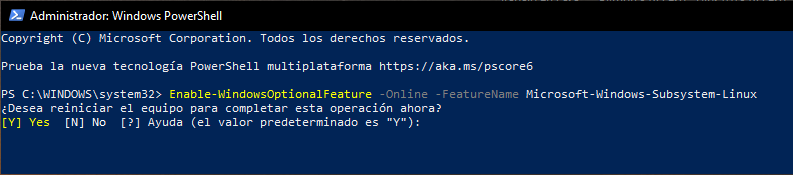 ../../../_images/enable_wsl_powershel.png